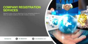 Company Registration Services